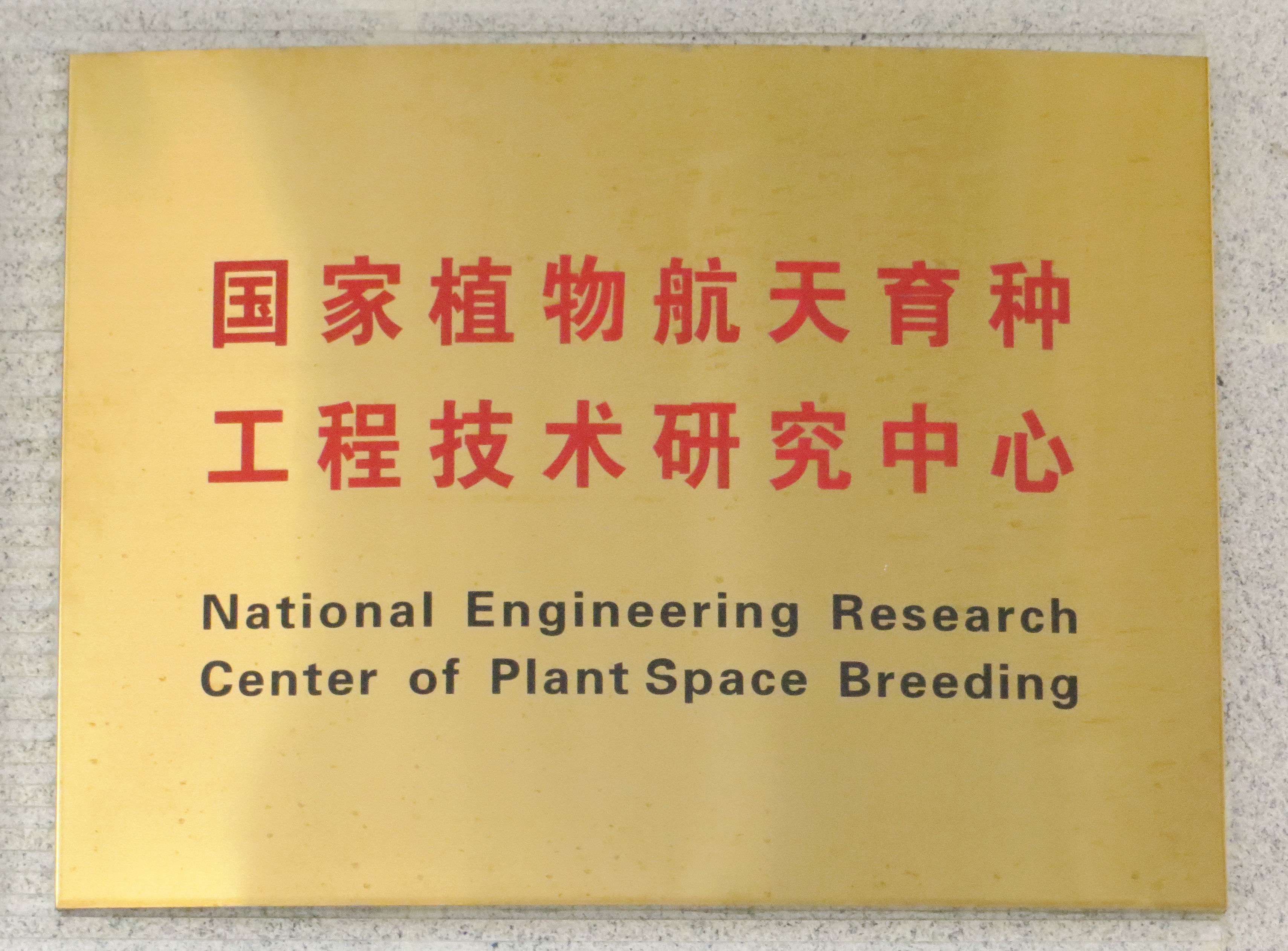 中心